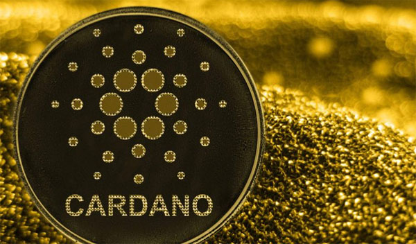 Exploring the World of Cardano Wallets