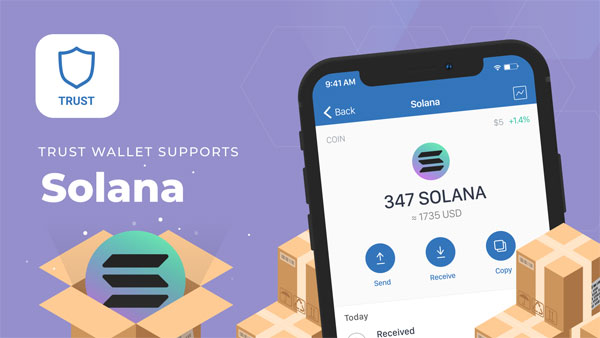 Solana Wallet: Simplifying Crypto Management with a User-Friendly Interface